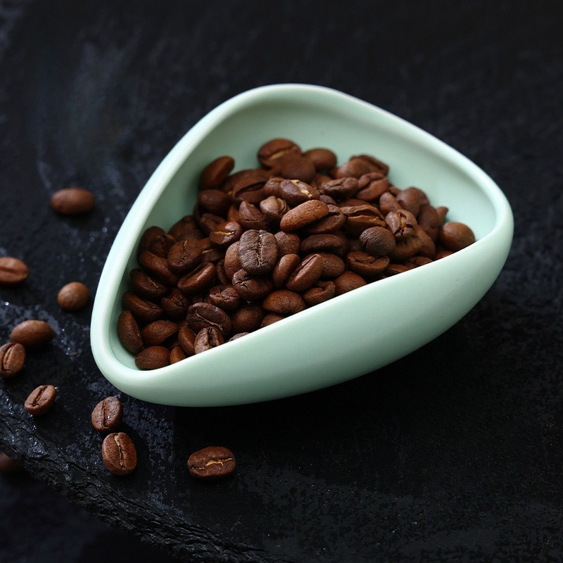 multicolour Coffee Bean Plate  - Home Bar And Coffee 리뷰 및 가격